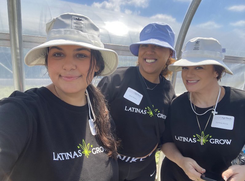 Latinas Grow tweet media