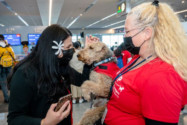 LAX Airport tweet media