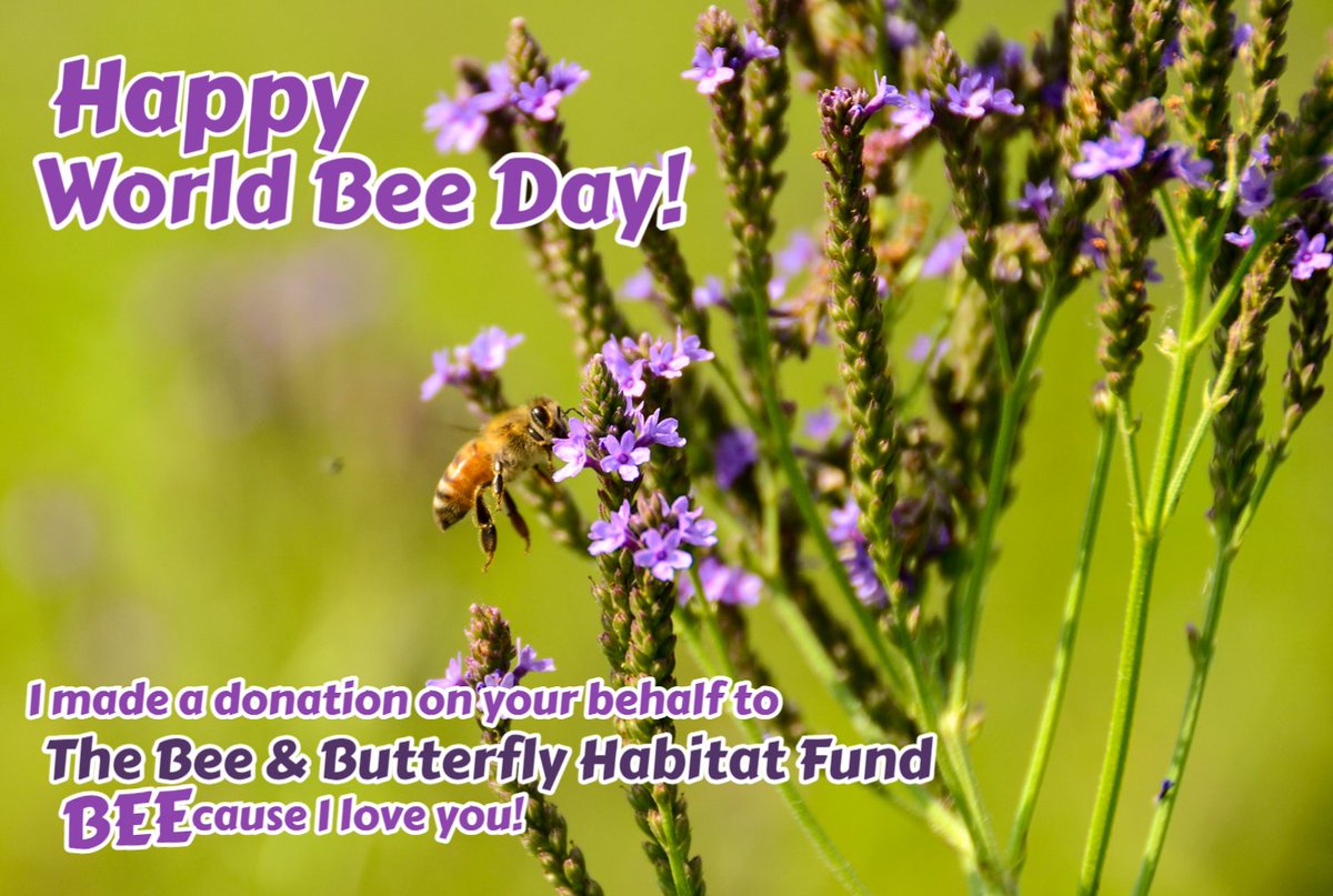 beebutterflyorg's tweet photo. August 20 is #WorldBeeDay! Tell someone you care about them by getting them a Gift That Grows and #savethebees at the same time! #donate at https://t.co/W0s72AYrKB. https://t.co/EShr45MnAr