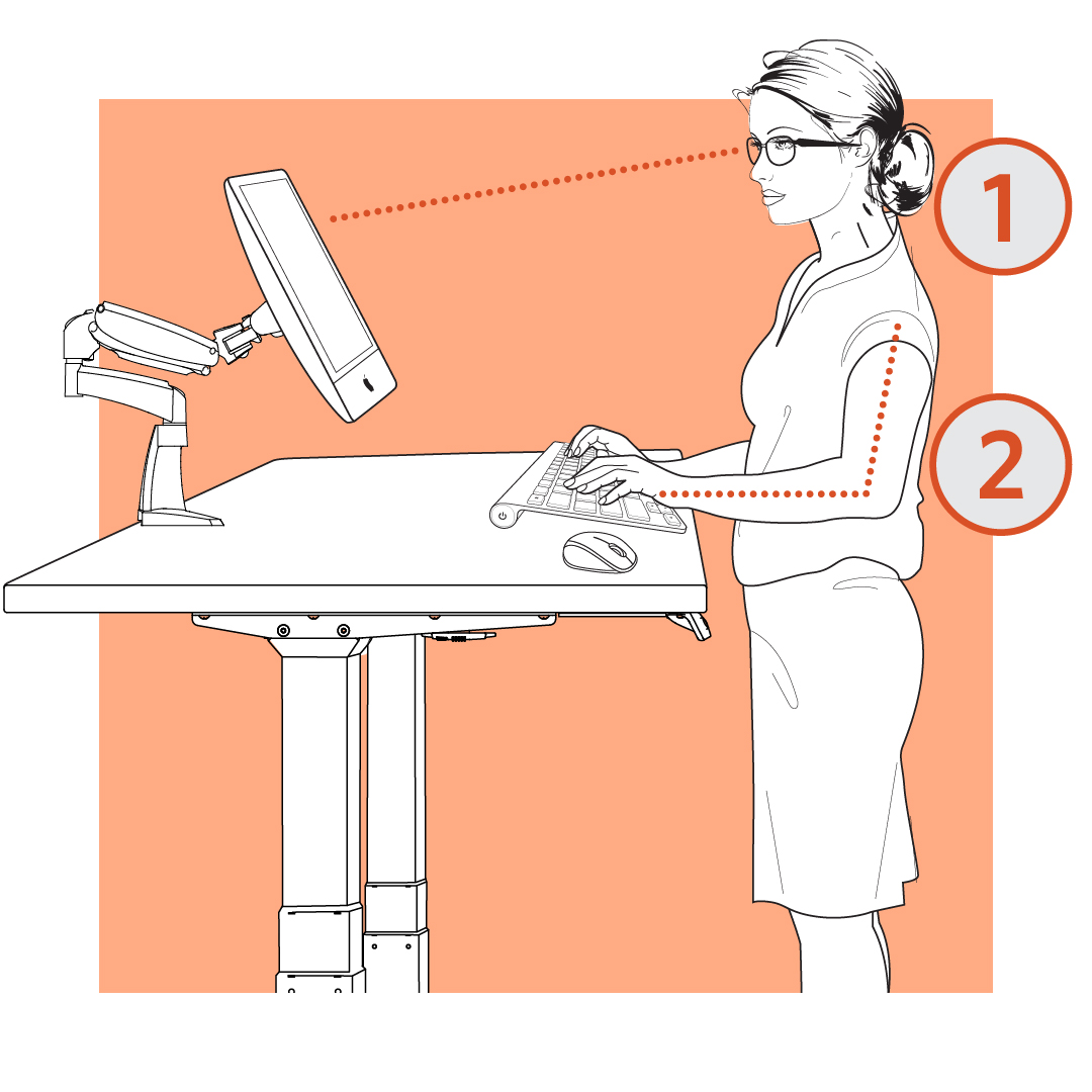 WorkriteErgo's tweet image. Fun fact Friday! For proper #ergonomics, always have 2 points of adjustability.
1. Monitor position (for head, neck, and shoulders)
2. Keyboard position (for arms & wrists)
#workergo #worklife #health #wellness #office #officeergonomics #desk #sitstanddesk #furnituredesign