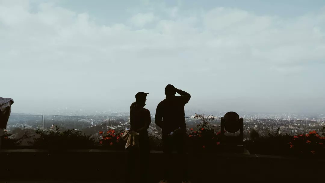 awirock23's tweet image. 