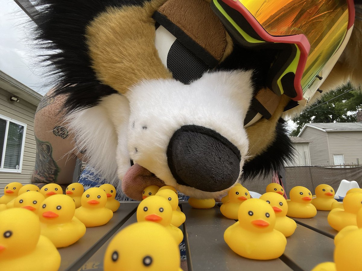 Don’t mind me, just commanding my 🦆 DUCKY ARMY 🦆

#FursuitFriday