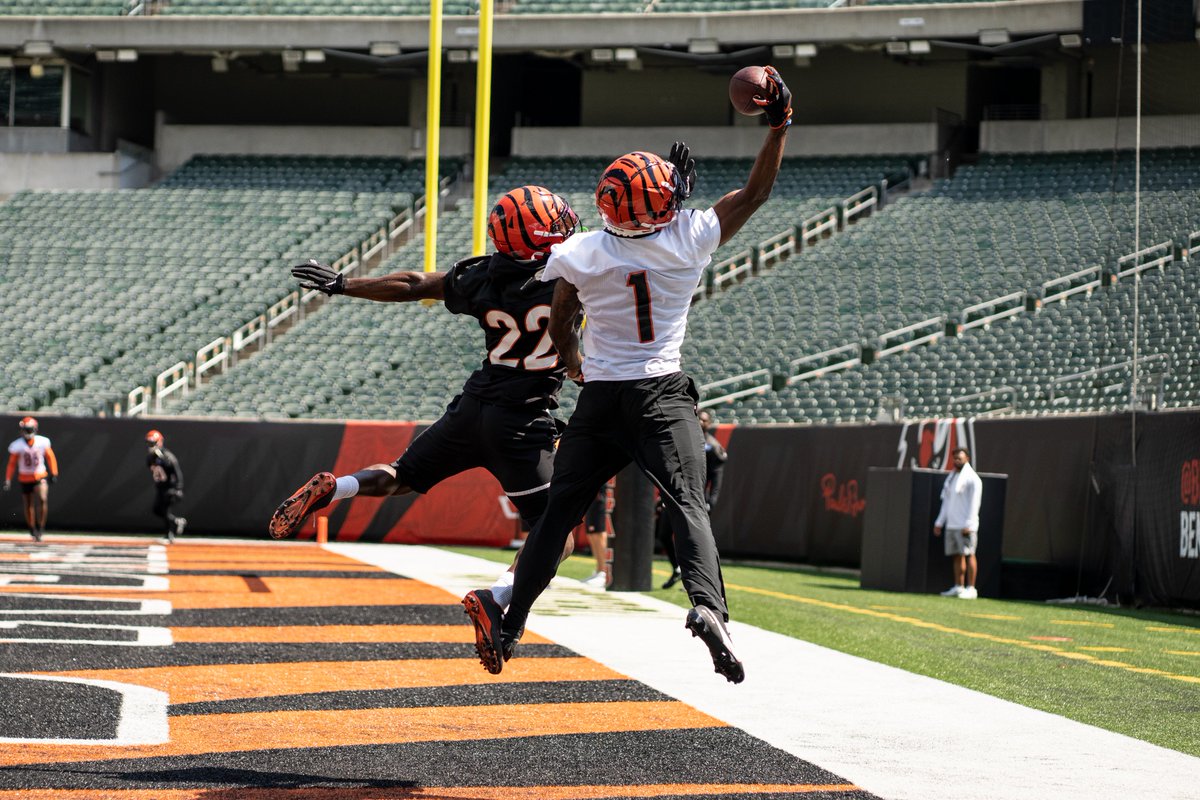 Bengals's tweet photo. Every day matters. https://t.co/ronVcVaN5r
