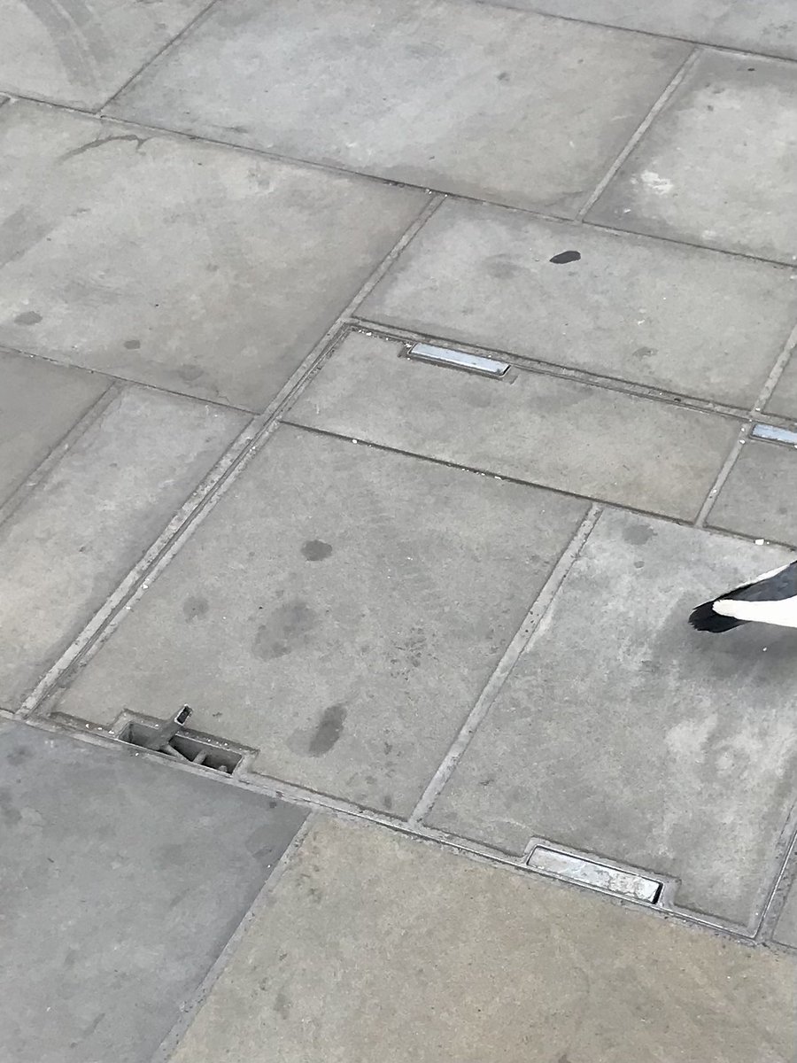 luke_1290's tweet photo. @_KingsWalkGlos @GlosCC One was lifted up again today. I had to use my hand to push it back down.

It’s so dangerous. I’ve already tripped over one, all 8 look loose.
Who was this death trap installed by? Was it @EGCarterCoLtd ?

Why hasn’t this been looked into yet? Who’s responsibility is it? https://t.co/j7GBHbzFGK