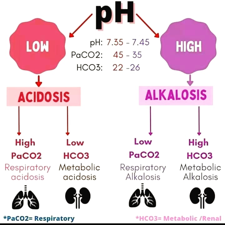 Easy way to interpret ABGs report
#medicalschool #emergency #copd #dka #emergencymedicine #mbbsstudent #asthma #diabetes #mbbs #medical #shock #abgs #arterialbloodgases #medicaltalkss #drzeeshanrafaqat