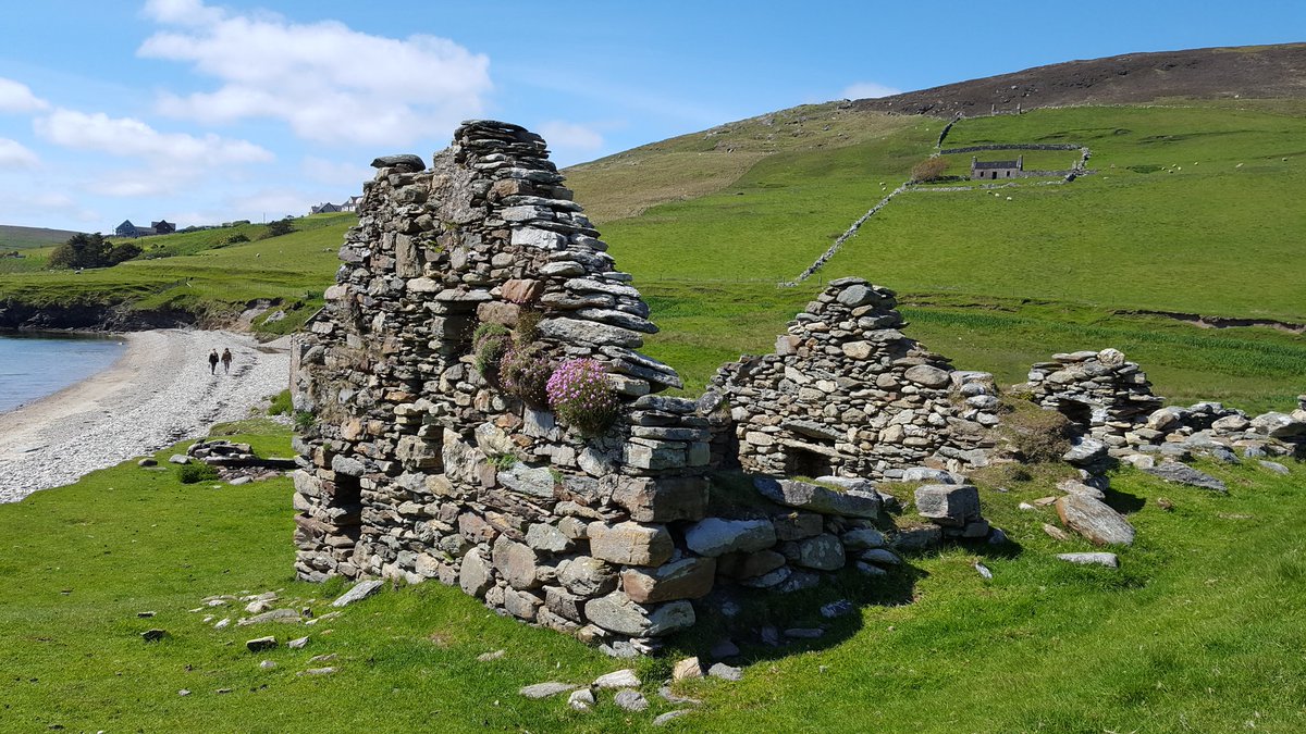 So the wild flowers grow... 
Derelict crofthouse,
Sandsound, Shetland.

#Shetland #Promoteshetland #visitshetland #visitscotland #myshetlandlife #60North #shetlandoutdoors  #photooftheday #northlinkferries #shetlandexperience #whatshetlandmeanstome #islandlife #socialhistory