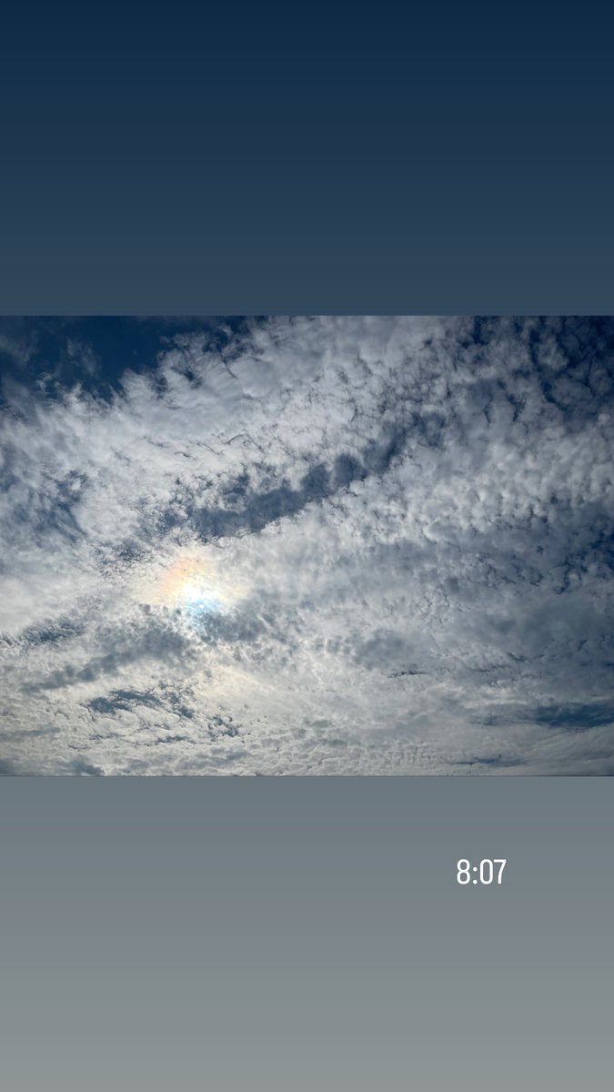 Bambi5220's tweet photo. Didn’t get to tweet anything summer but now the air is already autumn! I just love how seasons gradually changes with little back and forth, having 2 seasons in a day is not something we have all the time so feels very special and nice! 🧡🌞🌽⚡️🍃🍇🌝 https://t.co/fVgS0druTv