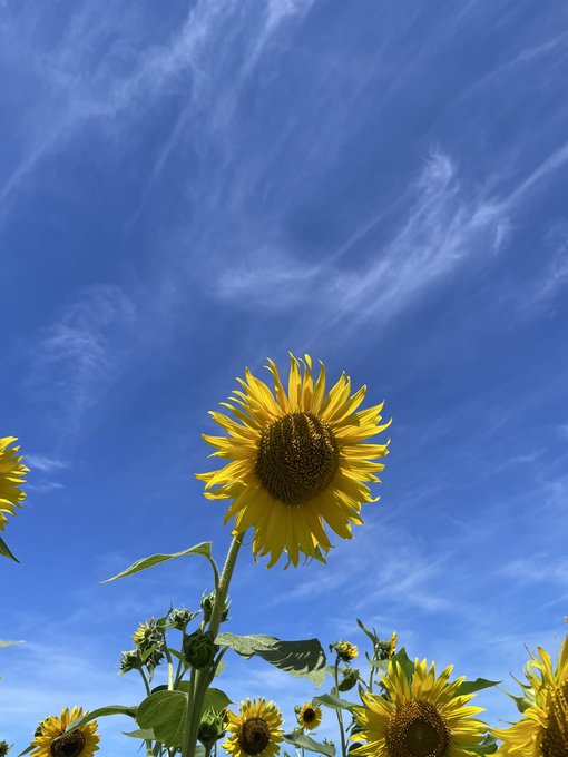 Twitterのコスプレ画像47