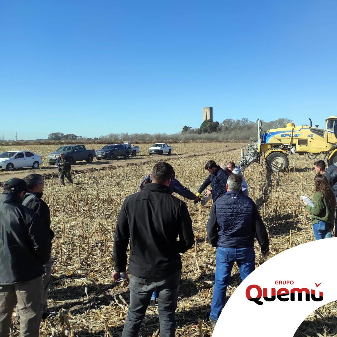 CQuemu's tweet photo. Hoy desarrollamos la capacitación para aplicadores del Grupo Quemú en el campo “La Loma”, Quemú Quemú.
@grupoquemu
#CapacitacionParaAplicadores #Aplicadores #QuemuQuemu #GrupoQuemu https://t.co/bxoMrj5upT