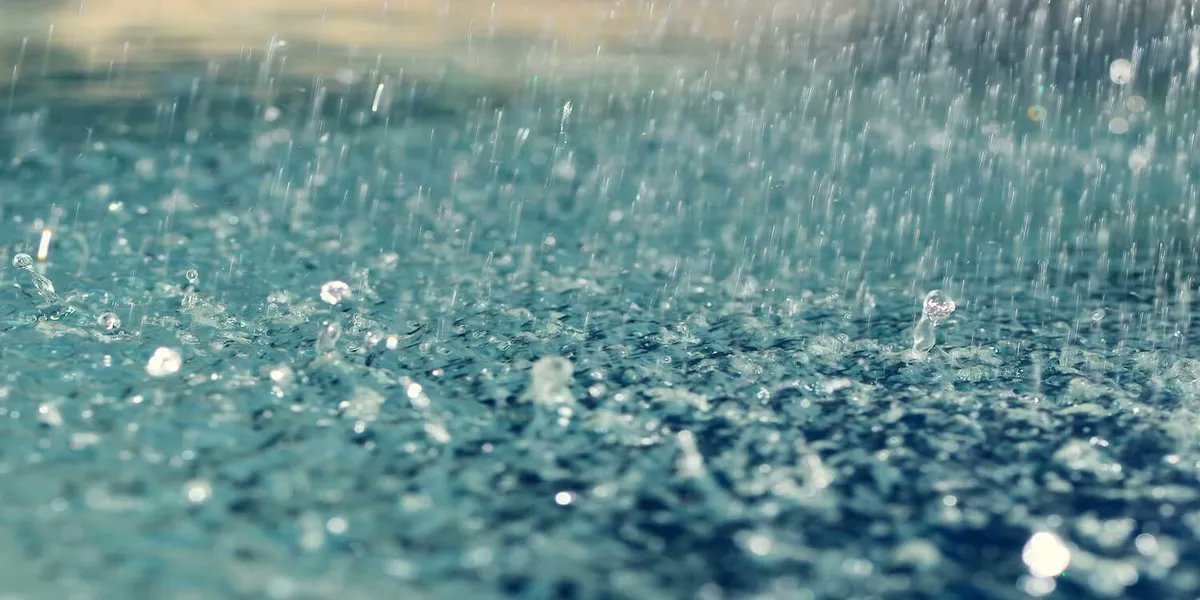 regen_sc's tweet photo. Our latest blog is on building disaster resilience.  With more wet weather coming, early preparation is the key.
https://t.co/3ULehwydA2 https://t.co/2z5Qaw8lM2