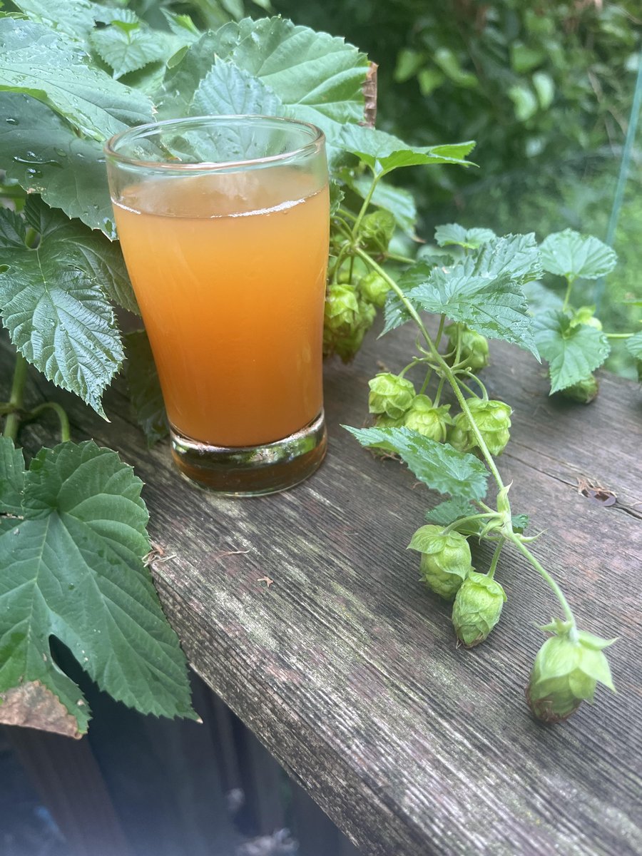 BrewforgoodM's tweet image. #BrewForGood 2022 preview:Amber Biere de Garde, brewed by Jack &amp;amp; Lan from @NordeastBrewers.
Biere de Garde is a traditional style of farmhouse ale from northern France. This beer has a malty sweetness with note of esters and hint of hop bitterness.
Stay tuned for more previews!