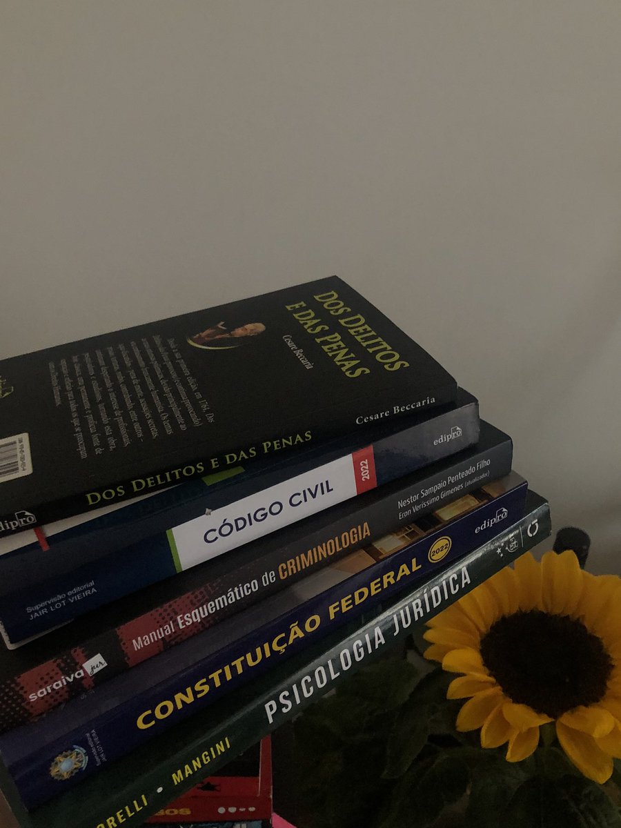 studywithnini's tweet image. resumo dessa semana, espero que semana que vem seja mais produtiva mas tô muito feliz de ter começado 💖💖💖