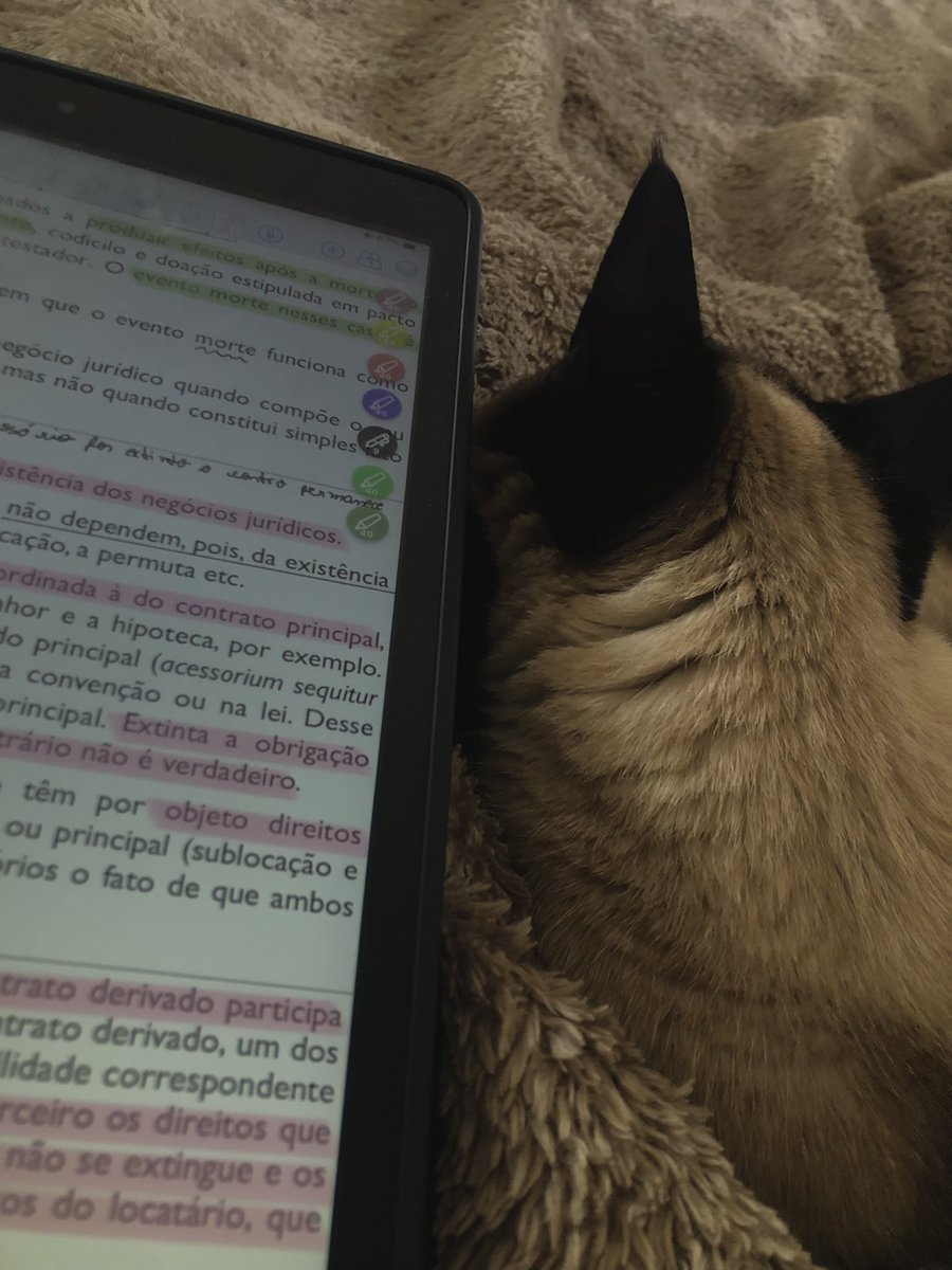 studywithnini's tweet image. resumo dessa semana, espero que semana que vem seja mais produtiva mas tô muito feliz de ter começado 💖💖💖