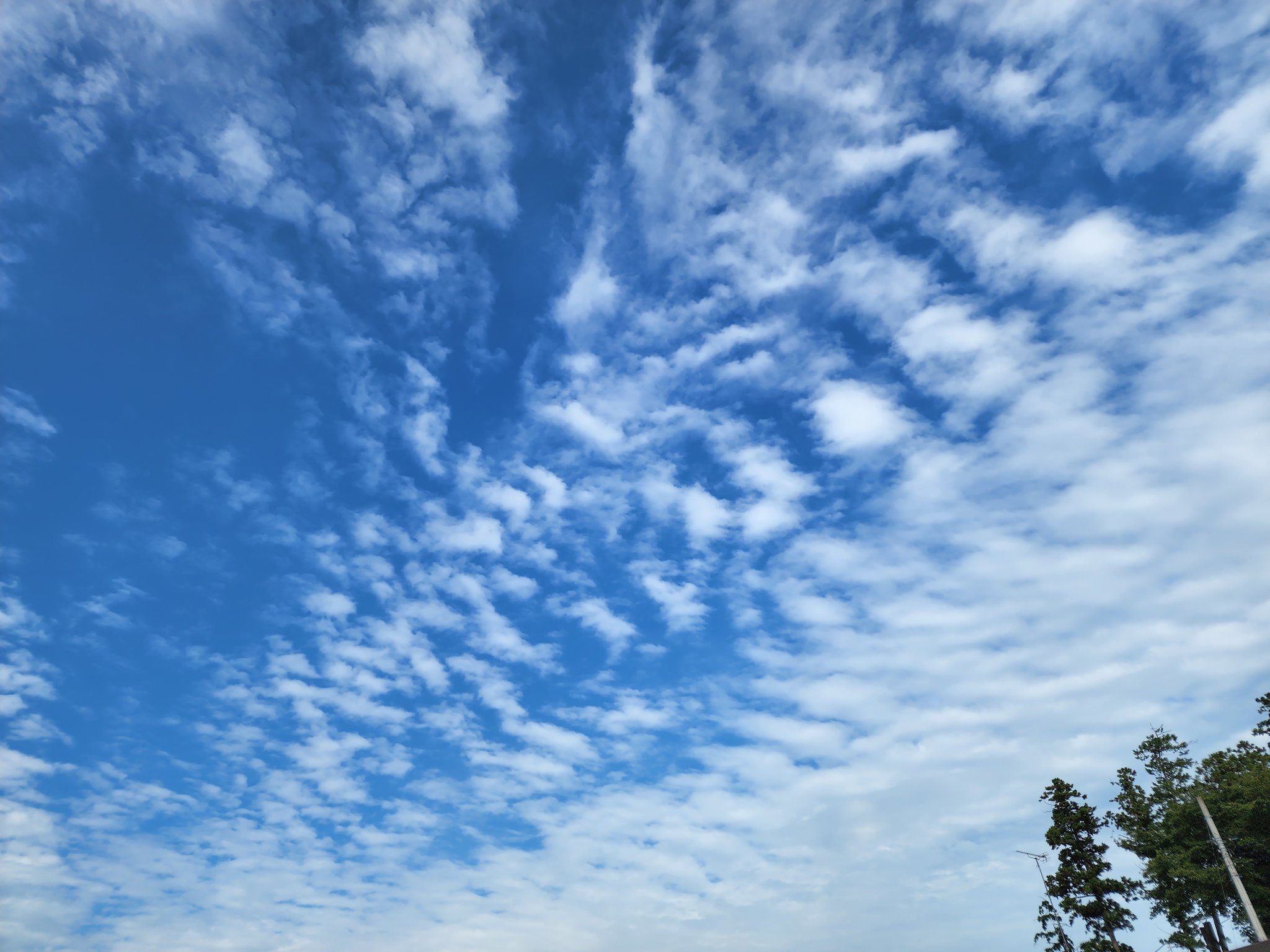 まこと いわし雲 いわし うろこ 自分はいわし雲って言ってます 秋に移るのを感じます 秋味 Beer 飲みたい T Co 8qrxlucsnj Twitter まこと いわし雲 いわし うろこ 自分はいわし雲って言ってます 秋に移るのを感じます 秋味 Beer 飲みたい T Co 8qrxlucsnj Twitter