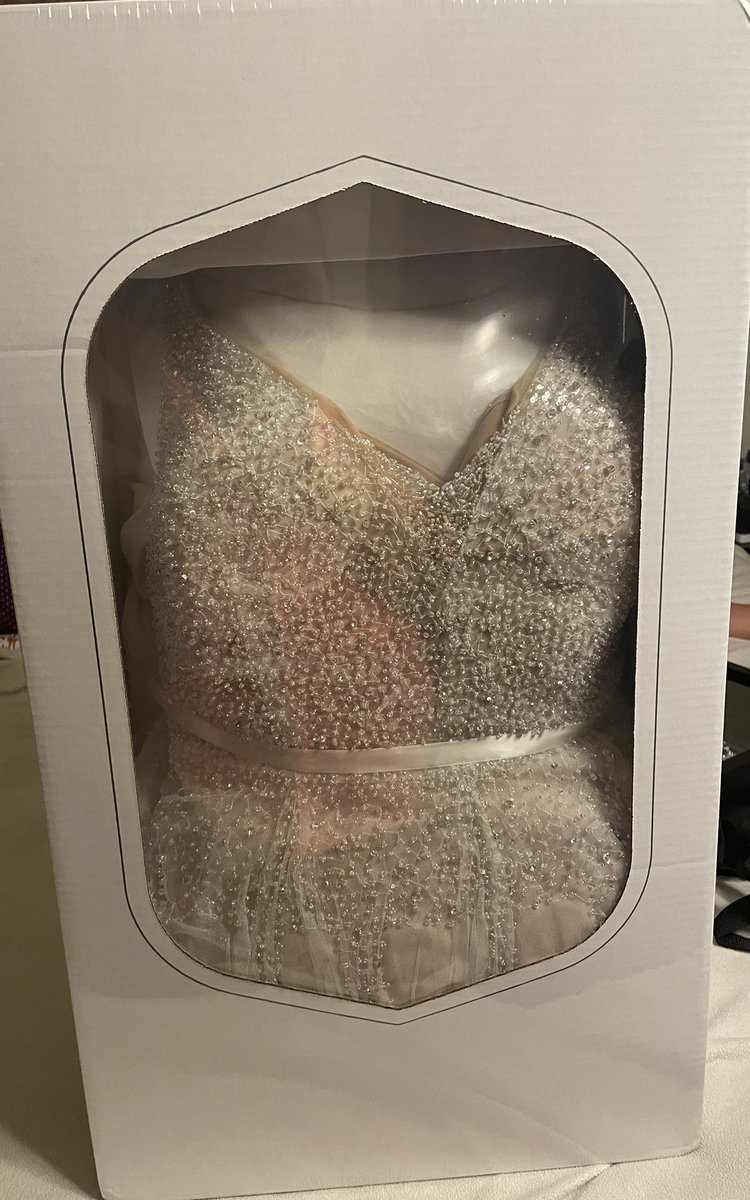 ekw2996's tweet photo. After the most amazing day of my life, I sent my dress out to be cleaned and preserved. I was expecting a much better job than this….@davidsbridal it is completely crooked in the box and the bra is hanging out. I’m quite disappointed with this https://t.co/VNuL9W5ogN