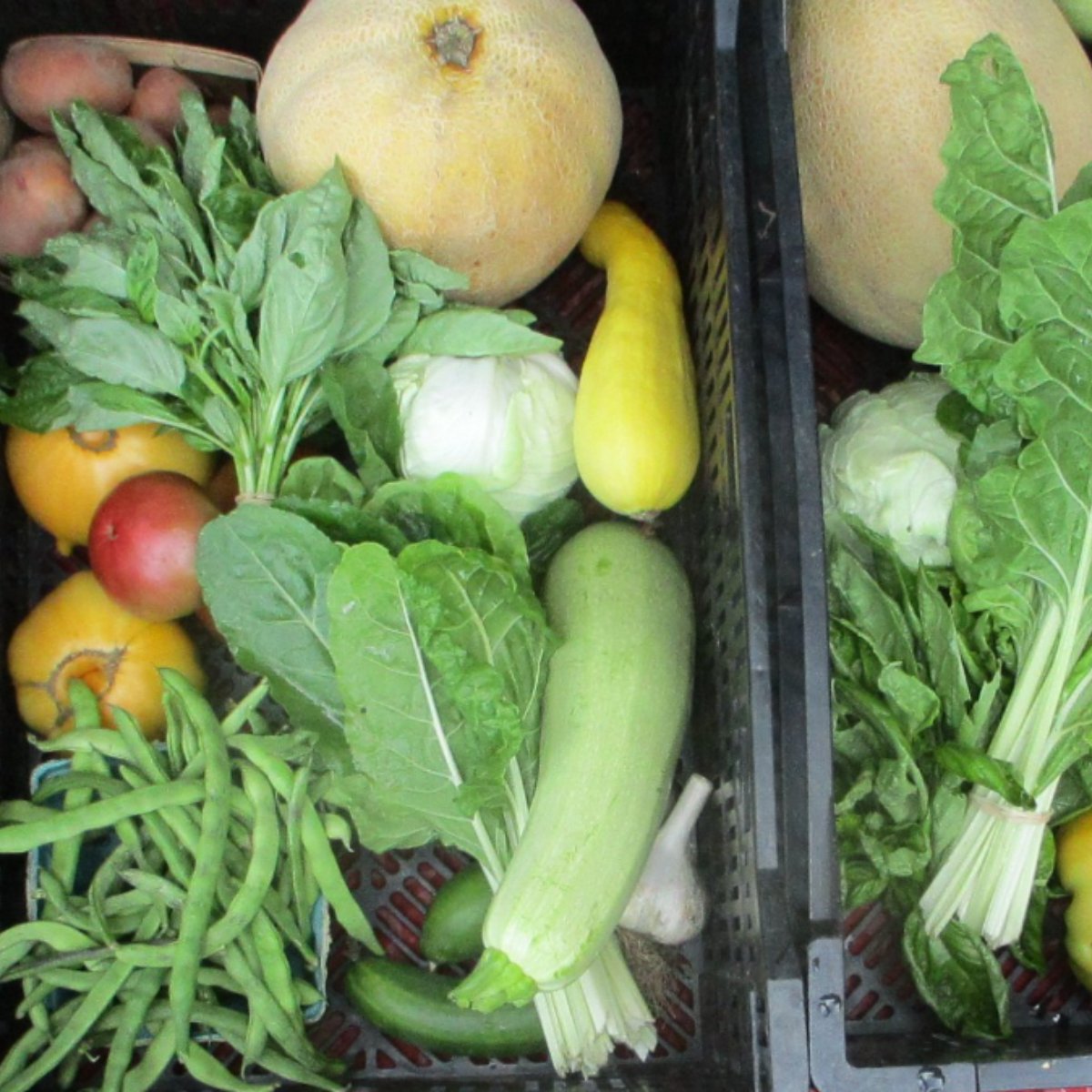 ELFarmersMarket's tweet photo. East Lansing Farmers Market August 21st - https://t.co/AjiP9Uk4Ix https://t.co/nOIykZApK1