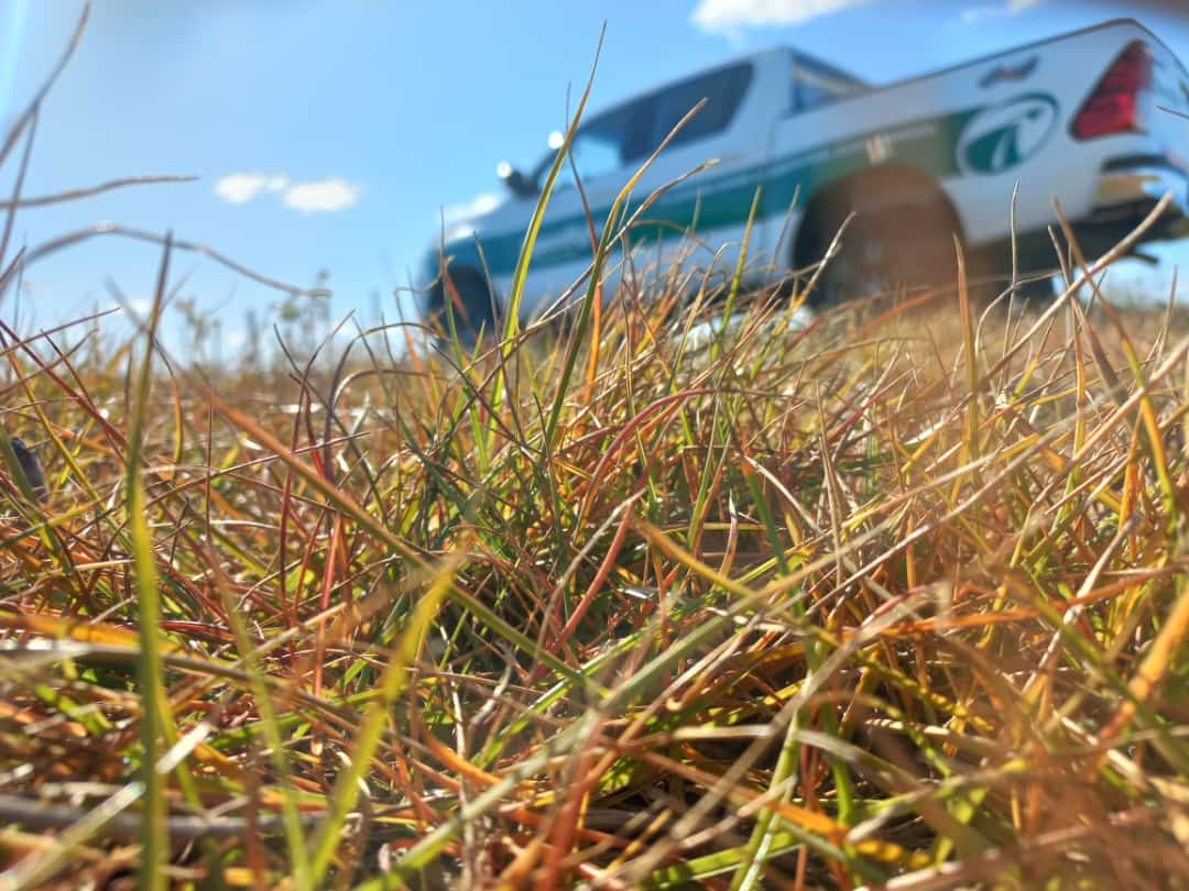 Matías Cambareri tweet media