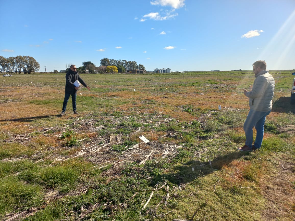 Matías Cambareri tweet media