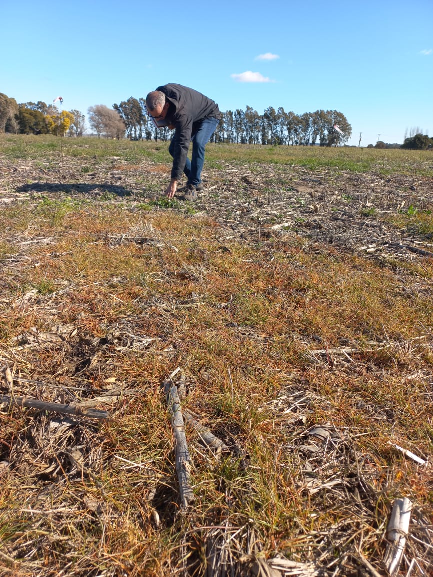 📍Tres Arroyos 

🧐 Día de recorrida de ensayos con Alejo Alonso en el sudoeste bonaerense de la mano de <a href="/GigonRamon/">Ramon Gigon</a> 

🌾El mundo necesita al campo en su mejor versión y en <a href="/speedagro/">SpeedAgro</a> trabajamos para ello 💪

The Greener Standard
#XION #coadyuvantes #fitosanitarios
