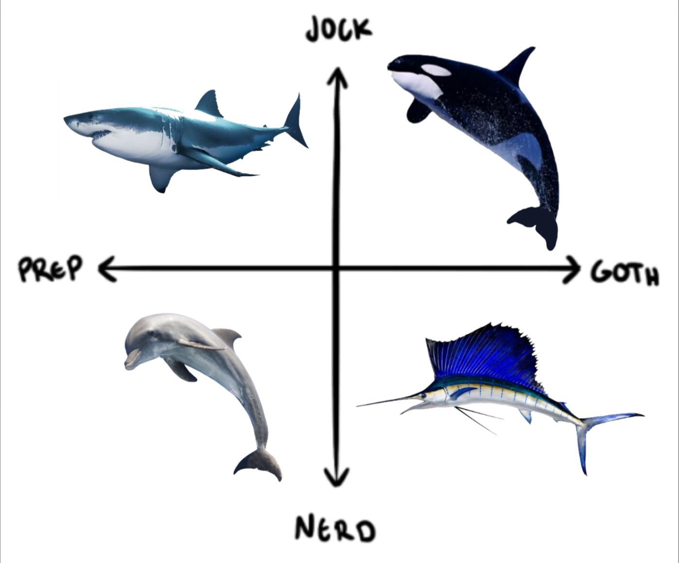 daily aquatic lovelies ༚.° on Twitter: "alright. align yourself https