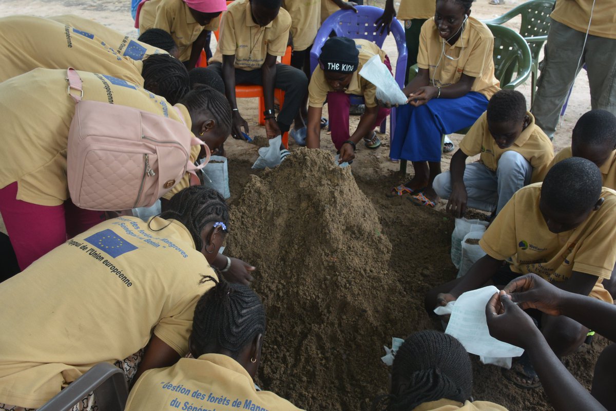 WetlandsAfrica's tweet photo. 4e JOURNÉE DU CAMP DE VACANCES organisé par #wetlands dans le cadre du projet PAPBio « Gestion des Forêts de Mangroves du Sénégal au Bénin » 19 AOUT
En cette journée, les vacanciers apprennent le reboisement de la mangrove avec les propagules, et le rempotage de gaines https://t.co/S5xZnFShOd