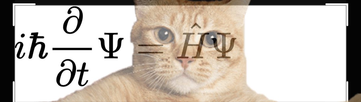 kortmedium tweet picture