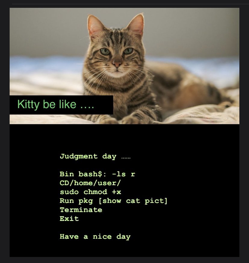 Digital Artwork By Russell I Love Cats They Are So Cool They Run The Internet Script Catsoftwitter T Co Qyptlj4xap Twitter