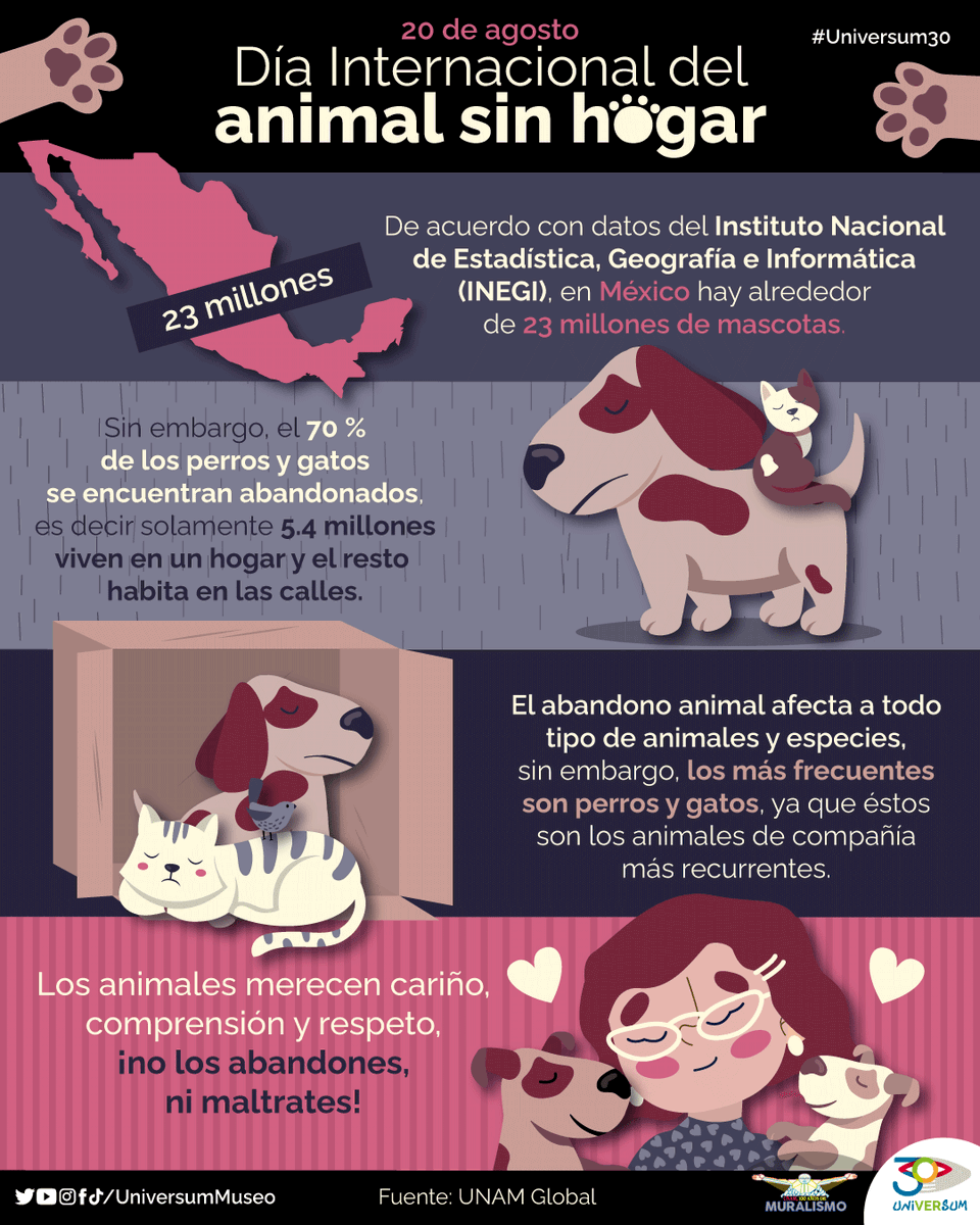 UniversumMuseo's tweet photo. #UnDíaComoHoy se celebra el #DíaInternacionaldelAnimalsinHogar, cuyo principal objetivo es acabar con el abandono de los animales.

#Universum30 https://t.co/2YZfgqGjEG