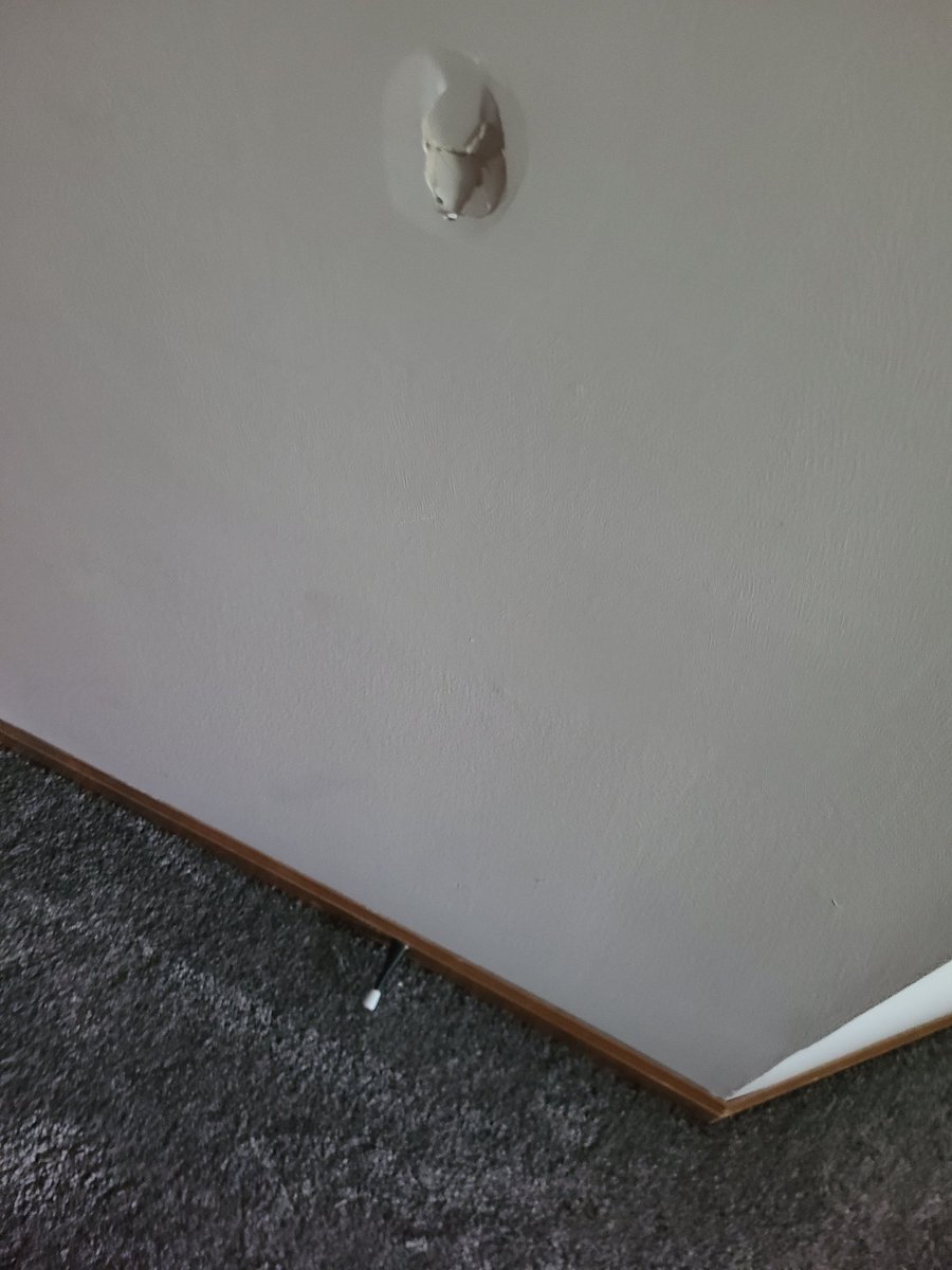 Carmel_diva2011's tweet photo. #lowes contracted out Marc's Flooring for carpet installation and they damaged my house. I have been fighting with them for almost 1 month https://t.co/PBTDpyU8t7