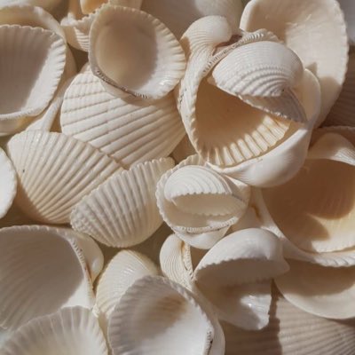 amorprols's tweet photo. #NovaFotoDePerfil https://t.co/eAlvbicE79