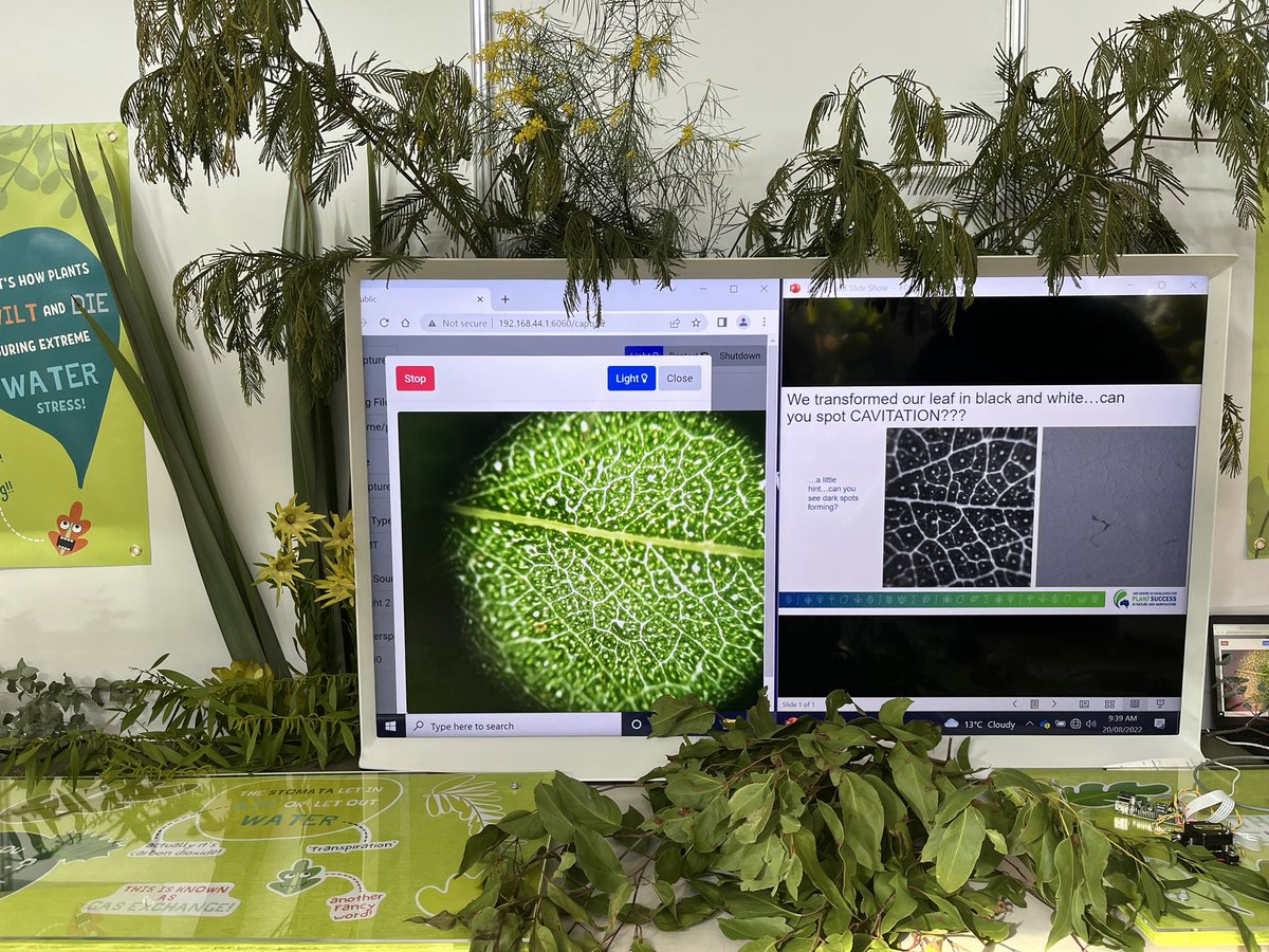 Ready set GO! #plantsuccess team is ready to mesmerise at #FoBI with amazing plant science and plant scientists! We have stomata! Veins! CAVITATION! and drought simulation! @CoEPlantSuccess @Sciences_UTAS #NationalScienceWeek