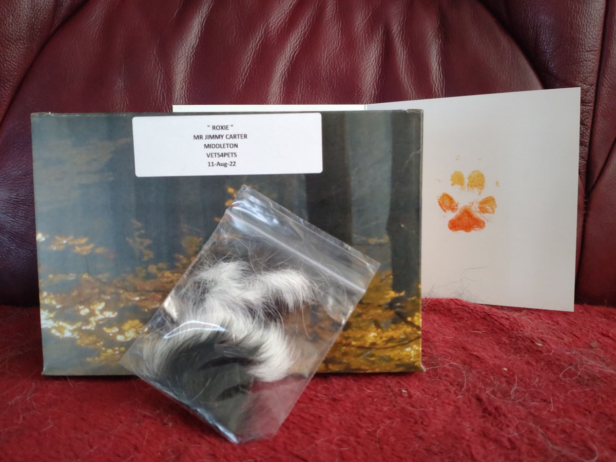 JimmyCarter_UK's tweet photo. Roxie is now back home and I have some fur and a paw print as a keepsake. 🌈🐾 https://t.co/nDVtqjGHFO