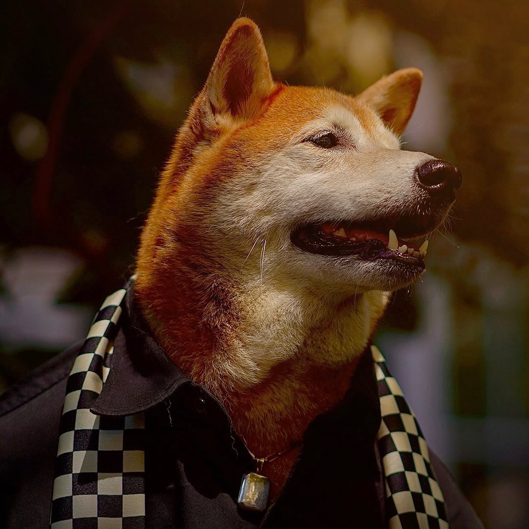 Ch-ch-ch-check it 🏁 #weekendfits #CheckMate