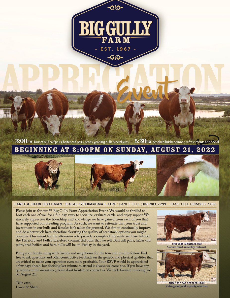 biggullyfarm's tweet photo. Please join us this Sunday, August 21st, at 3 PM for the BGF Appreciation Event. 12 miles North of Maidstone, SK. Bull calf pairs, heifer calf pairs and bred heifers on display. Supper to follow at 5 PM.  @CAN_Hereford https://t.co/cKAbIk6EF1