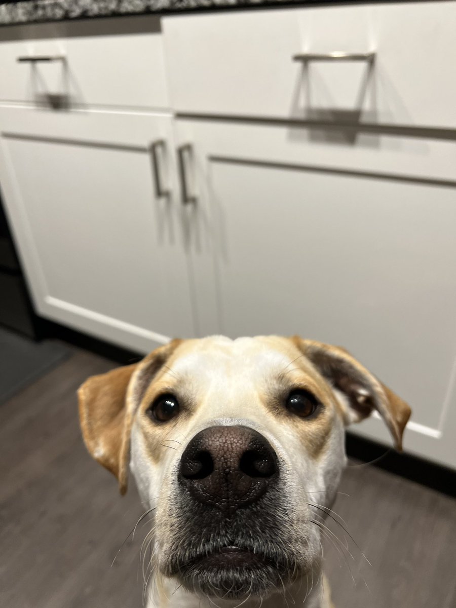 FAS_Shelter's tweet photo. “You got games on your phone?” https://t.co/AFb8Oxzrn4