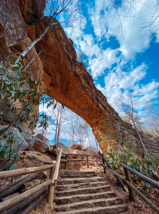 Lookie here. Great story from <a href="/TrazeeTravel/">Trazee Travel</a> on 'What to do and see in The Kentucky Wildlands' - trazeetravel.com/what-to-do-and…

#explorekywildlands