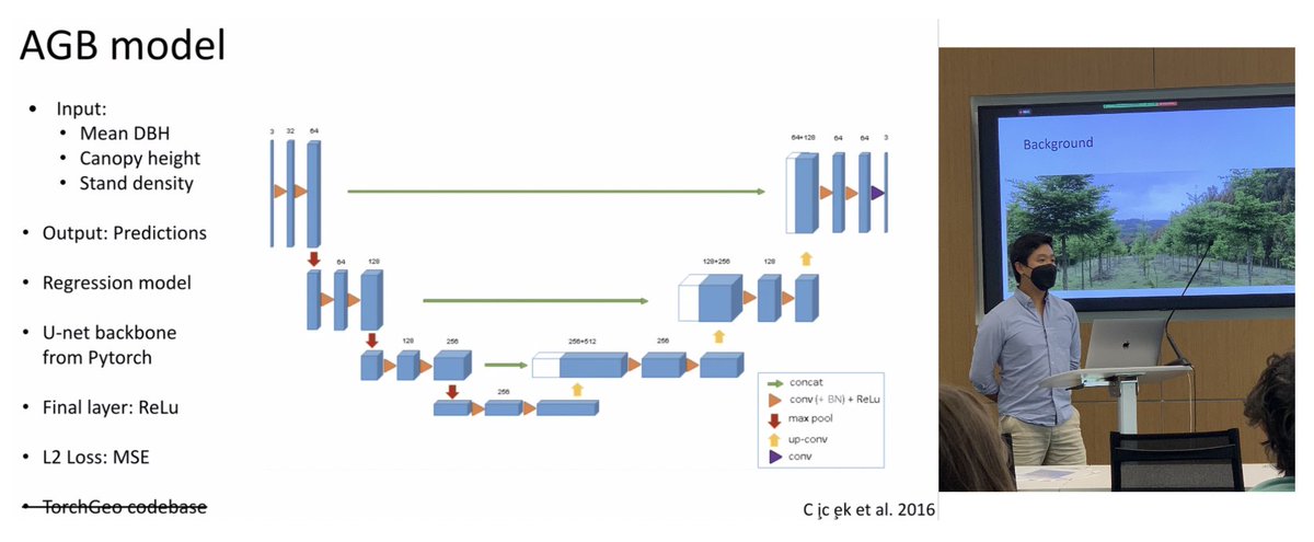 Brian Lee started to “watch trees grow” by using remote sensing and data fusion to look at above-ground biomass (AGB). He used a regression model based on a U-net backbone for his AGB model.