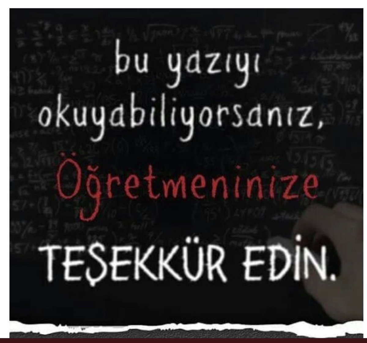 🌻 tweet media