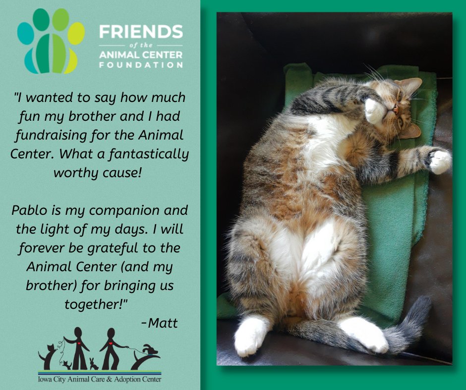 What a wonderful note we received from a donor who adopted from the Iowa City Animal Care &amp; Adoption Center 

#iowacity #iowa #cat #sheltercat #iowacityanimalcareandadoptioncenter