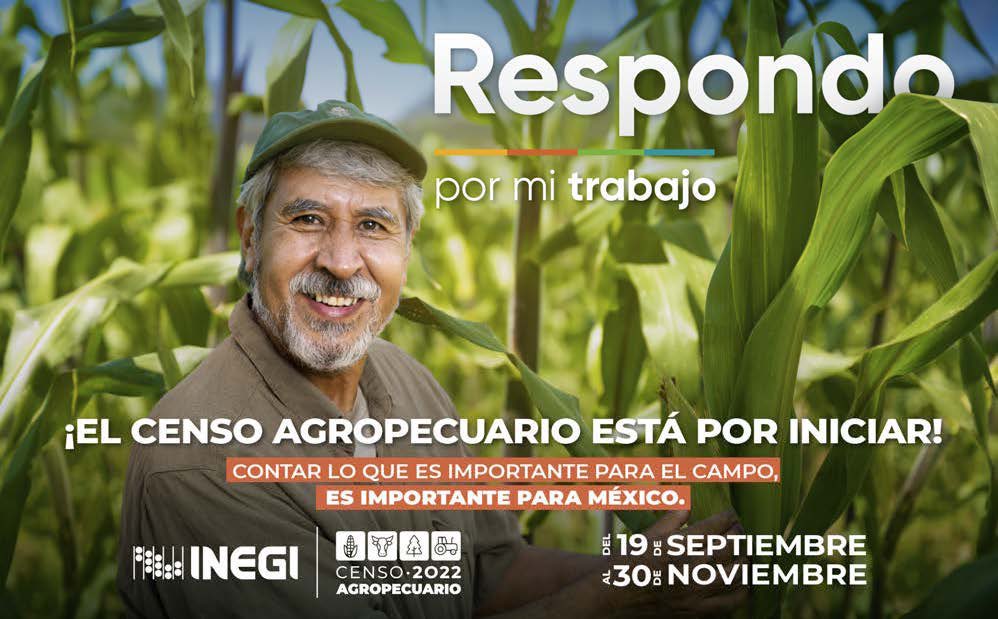 ¿Ya te enteraste? 👩🏻‍🌾👨🏻‍🌾 Del 19 de sep., al 30 de nov., visitarán a más de 4.3 millones de unidades de producción en todo el país. ¡Conoce más sobre el #CA2022 🤓! Da clic aquí: censoagropecuario2022.mx