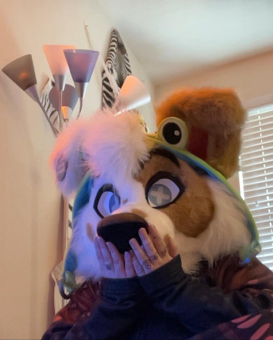 LINK IS SOLD!!!! Thank you for all the interest but a private negotiation was made and Link was traded<a href="/tag/tff2022"class="tags"><span>#tff2022</span></a>
