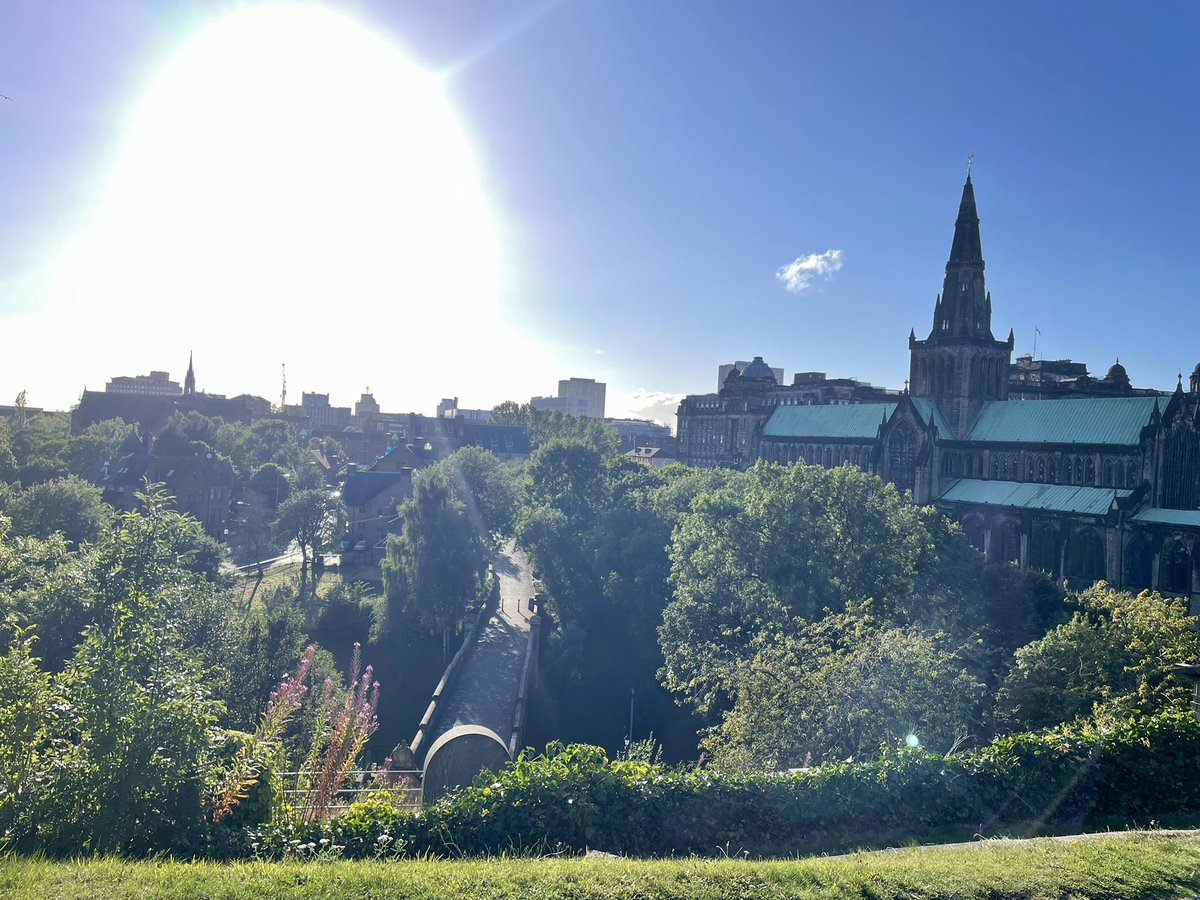 Dr. Rebecca Devine tweet media