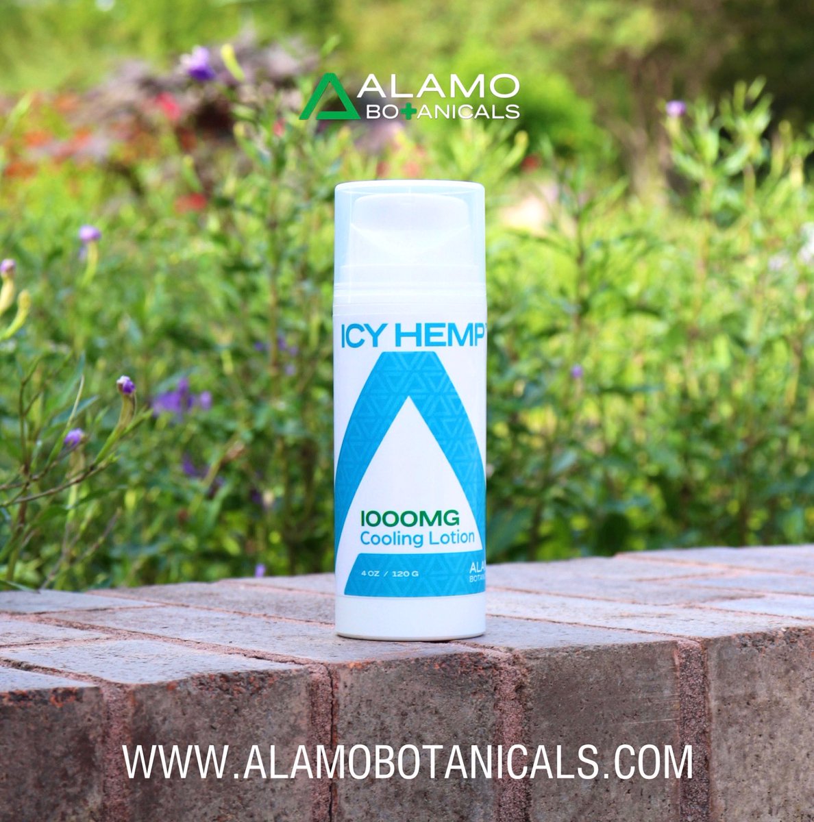 AlamoBotanicals's tweet photo. Our Alamo Botanicals ❄️Icy Hemp❄️ line consists of a topical lotion and a topical roller-ball. Both can be applied lightly to areas of muscle and joint discomfort in a circular motion, a little goes a long way! https://t.co/Gs5lmmRxq0