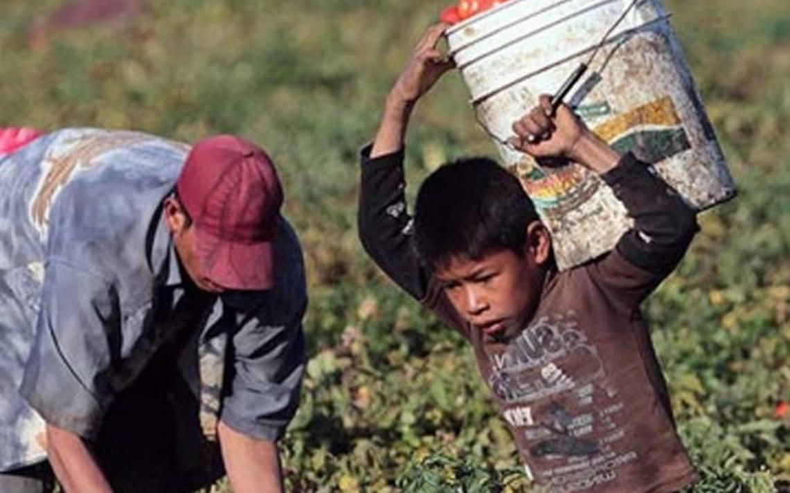 OhDiosa_Blocker's tweet photo. Parece realmente INSÓLITO escuchar a dos desquiciadas mentales como @KaQuiroz_V y @Claudia_Mix querer q nuestros niños trabajen como en Venezuela. #DebateChileCHV 
Robándoles su niñez, pq hay países donde marchan por sueldos dignos 
Nadie puede decir algo así #RechazoTransversal https://t.co/3ow8C4eSUF