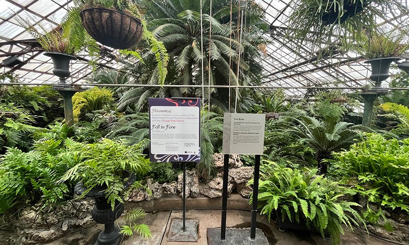 ExSoSt's tweet photo. The University of Chicago Library News wrote an excellent feature regarding Kikù Hibino's Florasonic piece, Fell To Fern. The link to read the article is below. The exhibition is free and open to the public until September 25th.
Link: https://t.co/0TImBpOx8c
#florasonic https://t.co/ZJYVJXDUam