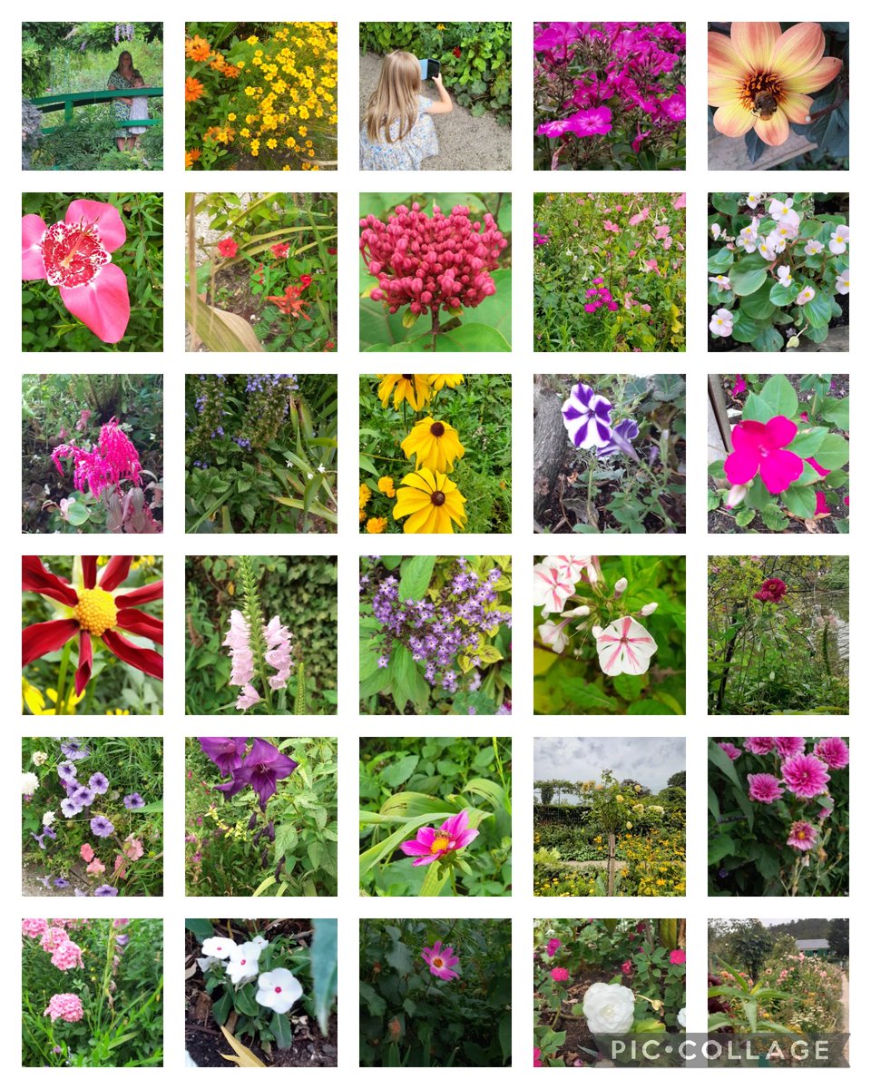 Victori32620213's tweet photo. Annabelle's rainbow of colours taken during our visit to Monet's Garden. Her best part was seeing the bridge and Lily pads in real life after learning about Monet with Mrs Goulding. ππ¨π«π·π https://t.co/CrguXsc394