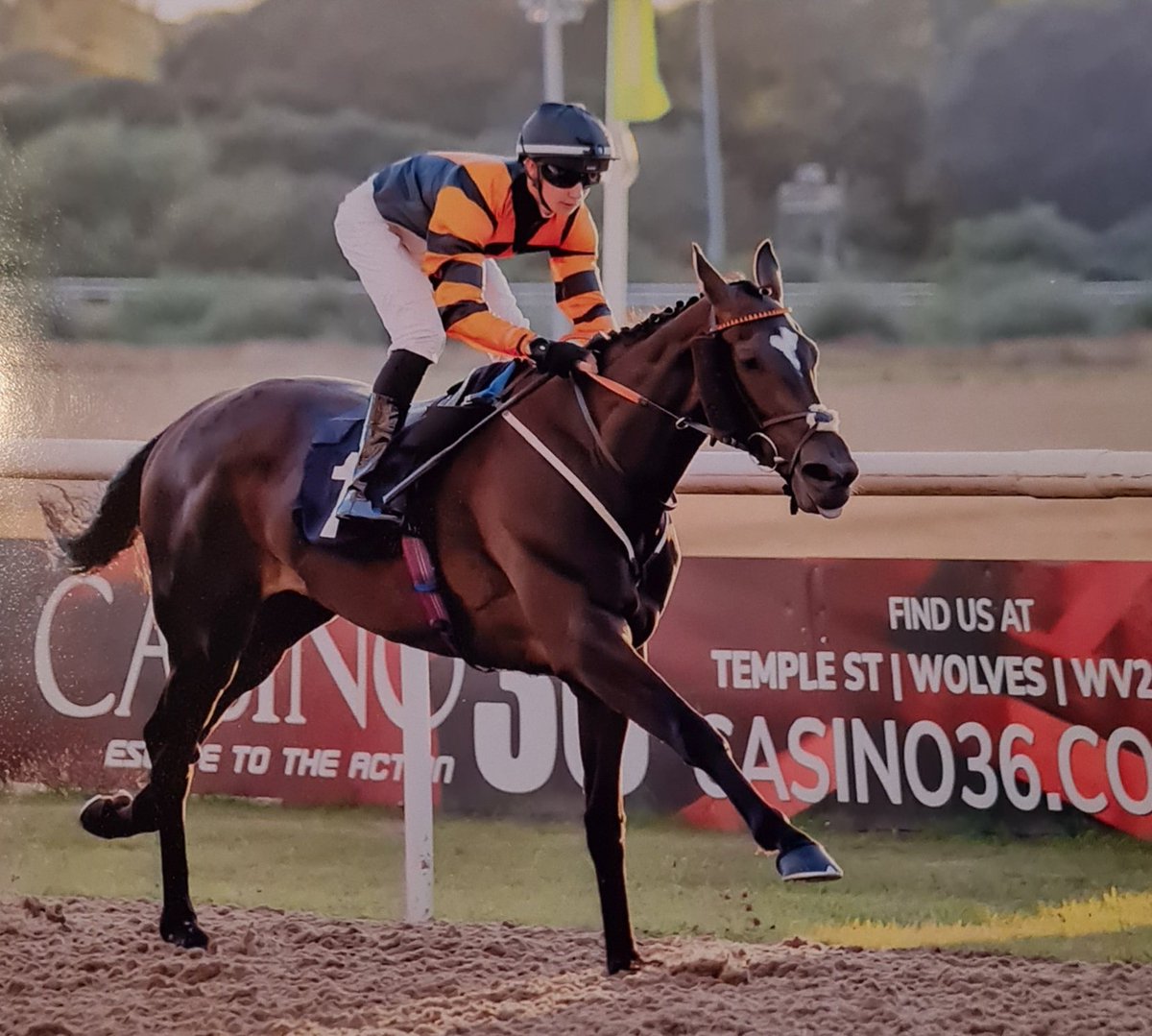 Robert Stephens tweet media