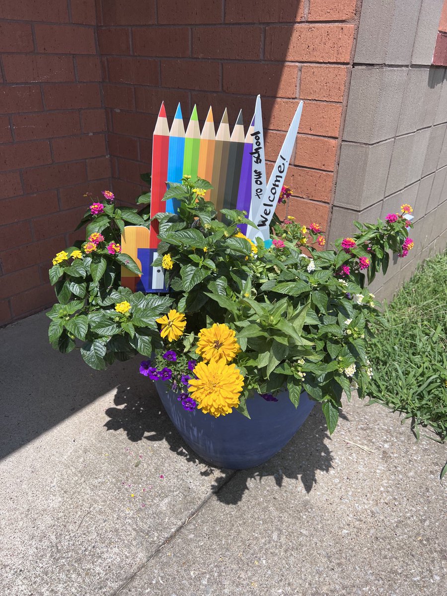 Lisa Snider tweet media