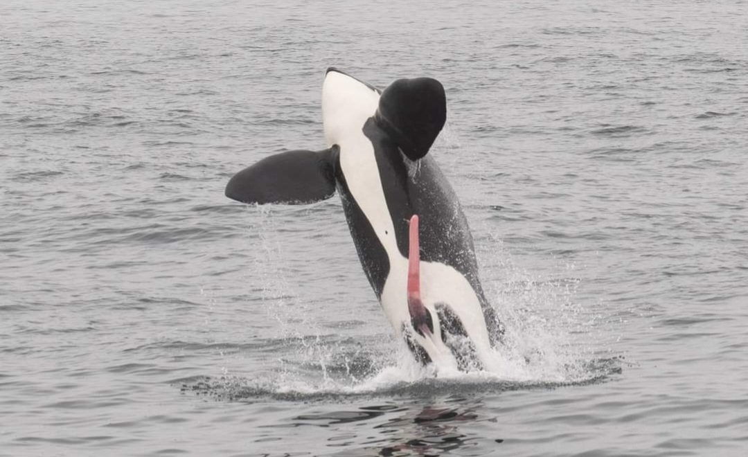 Freaky Friday. 🤣🤣🤣🤣🍾