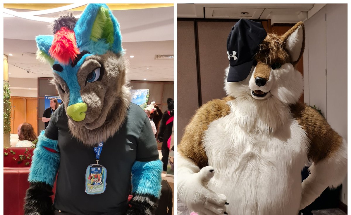 JarlathHare's tweet photo. On #WorldPhotographyDay, this year I became a photografur for the first time by taking many pics of critters at Confuzzled back in May, my first ever con. Here are some of them now! ๐ท๐พ
#FursuitFriday #furry #Confuzzled #cfz22 @cfconvention https://t.co/m0BWI7T3AH